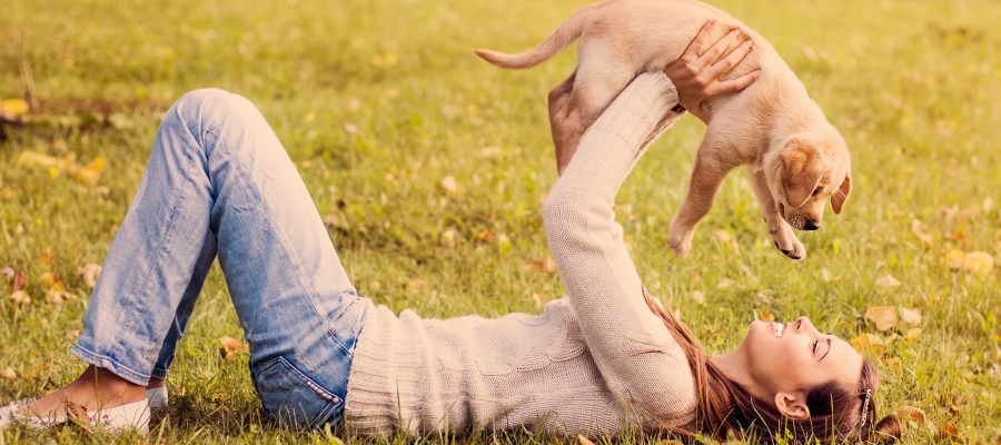 Статья 17. карт. 2 (900х400).jpg