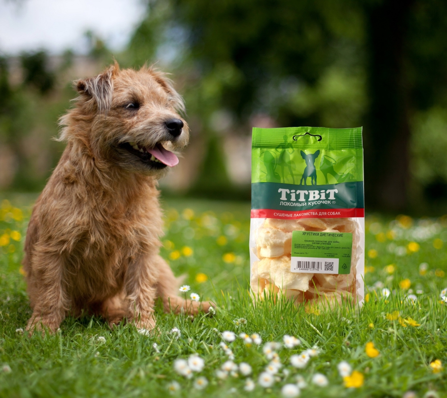 Статья 7 собаки. Карт. 3 (900х800).jpg