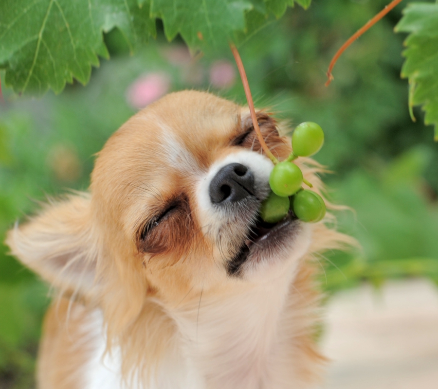 Статья 11. Карт. 2 (900х800).jpg