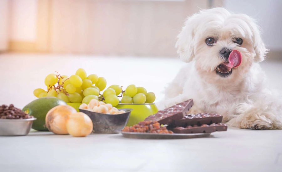 Статья 11. Карт. 3 (900х550).jpg