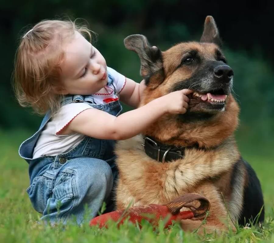 Статья 20. Карт. 4 (900х800).jpg