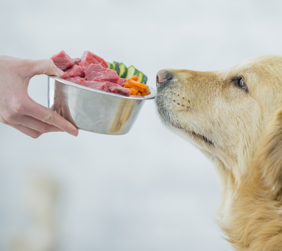 Статья 10. Карт. 3 (900х800).jpg